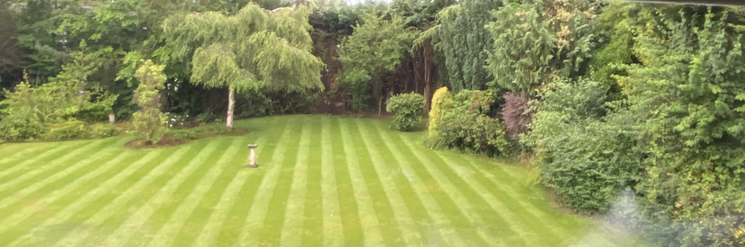 Vanda Murray OBE banner