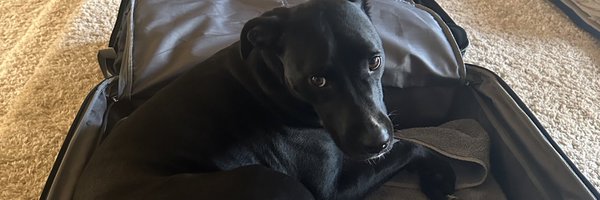 sheeeaaath Profile Banner