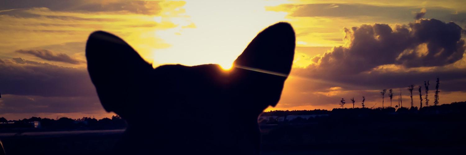 jordanbaker79's profile banner image