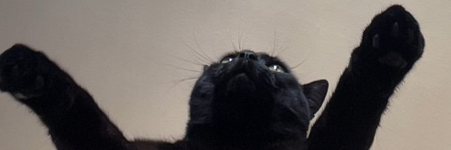 MattisSIMON's profile banner image