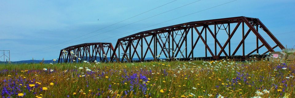 cfsxradio's profile banner image