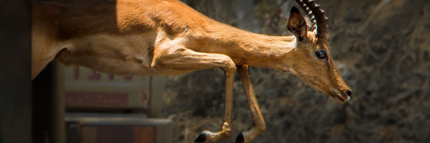 West Lunga Conservation Project banner