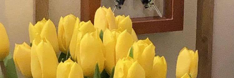 tamz banner