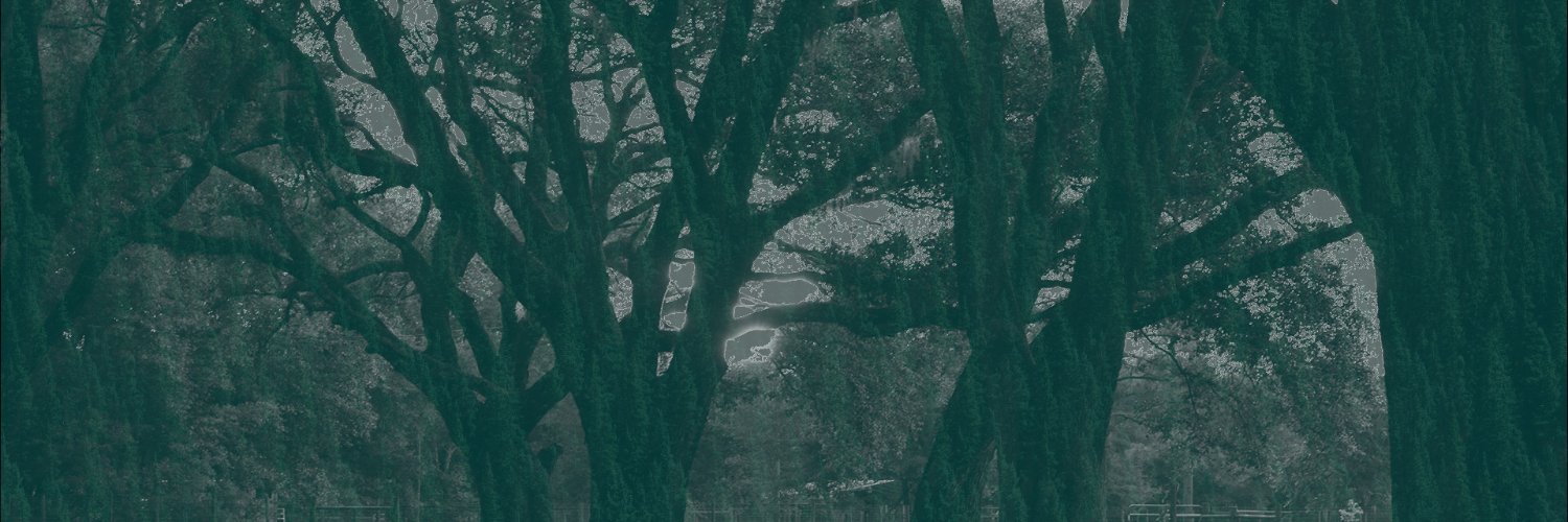 The Wayfarer Project's banner