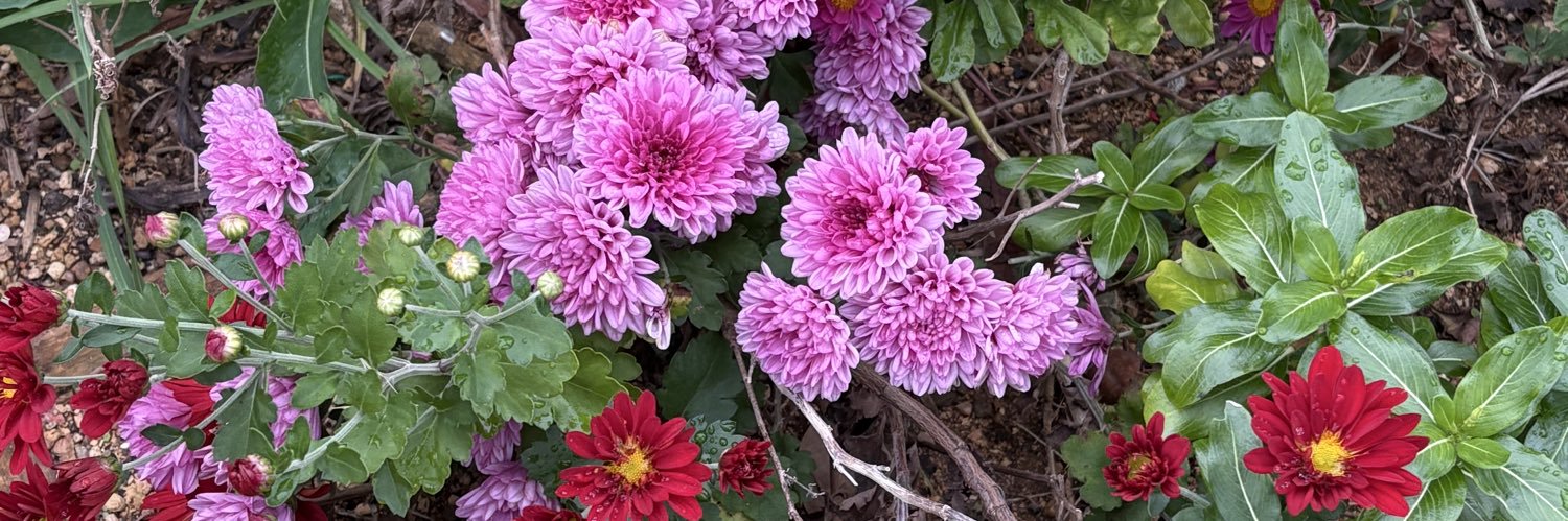 花城カレン banner