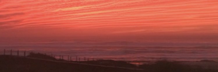 t0rr3z2's profile banner image