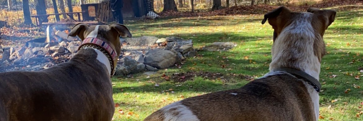 MadddieeeT's profile banner image