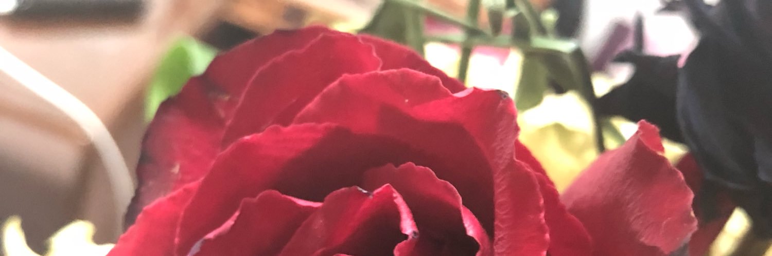 dkalshammeri's profile banner image
