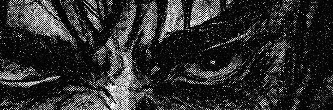 sedmaamey's profile banner image