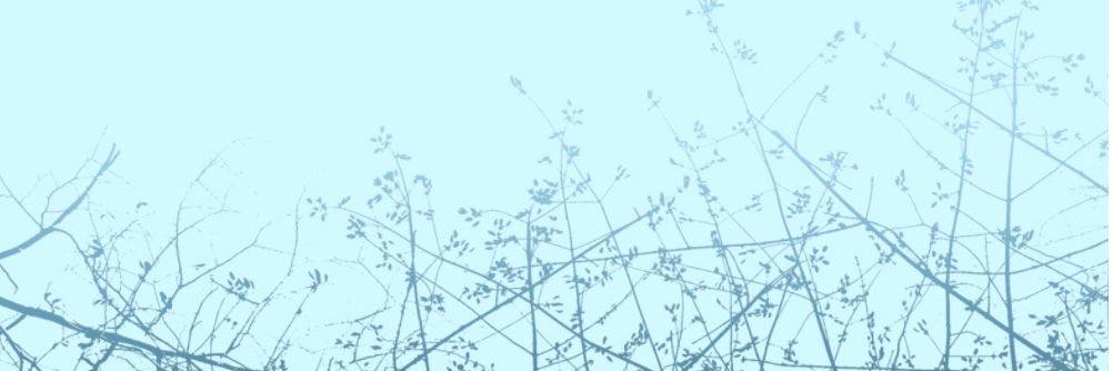 ploywang's profile banner image