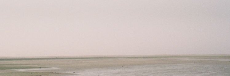 蔼 banner
