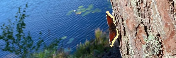 ted_morrow Profile Banner