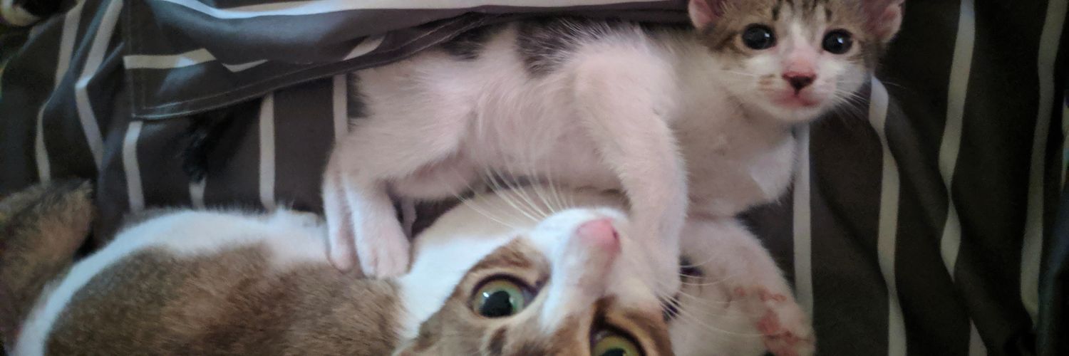 mimiiazman's profile banner image