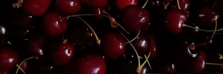 Zzz banner