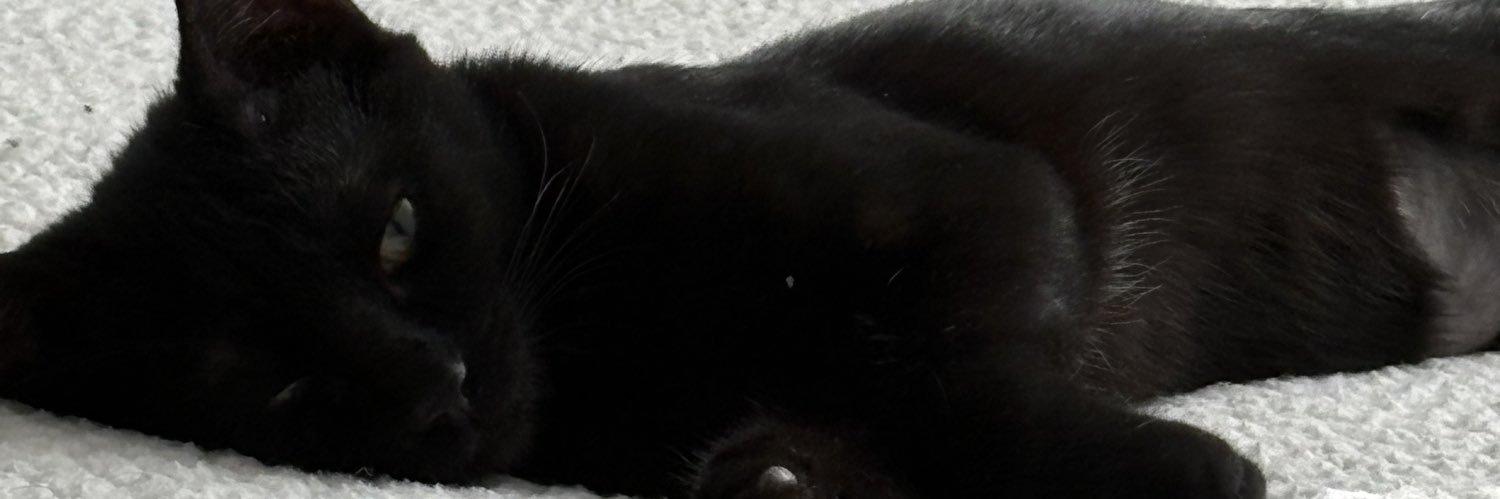 lizardwings1111's profile banner image