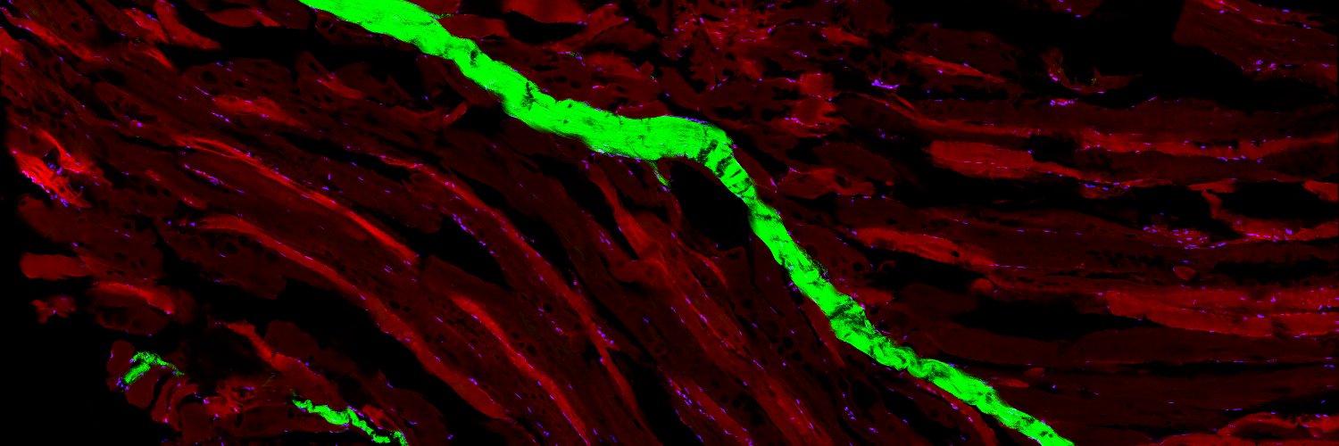 Prospective Instruments banner