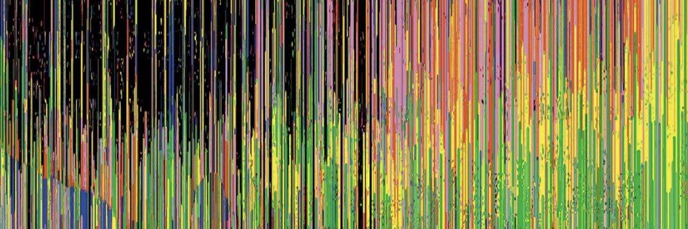 Pepe von Rembrandt banner