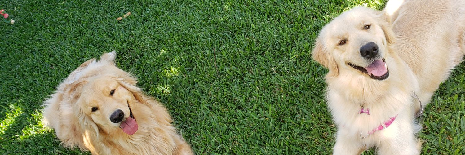 MaruPrincipito's profile banner image