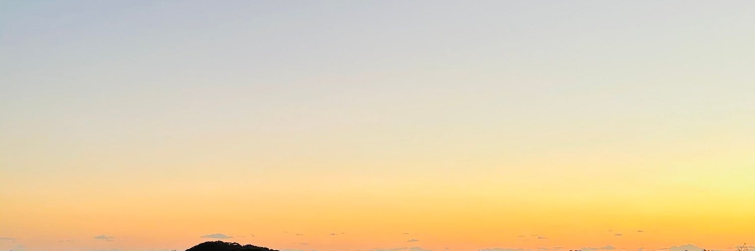 B banner