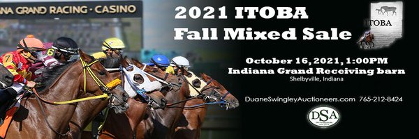 IndianaTOBA Profile Banner