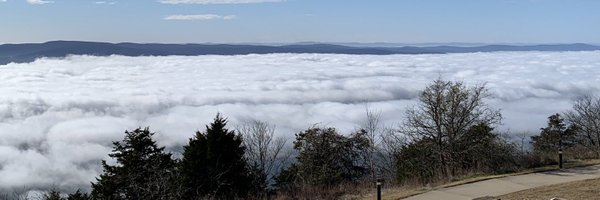 arkstfan Profile Banner