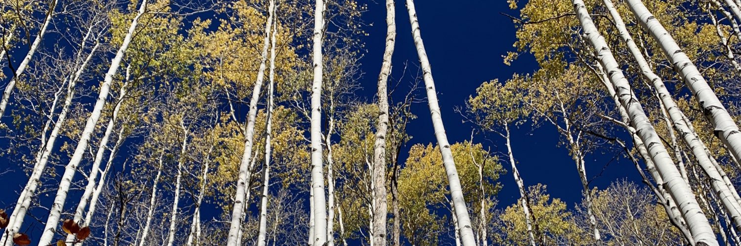 iamthechucks's profile banner image