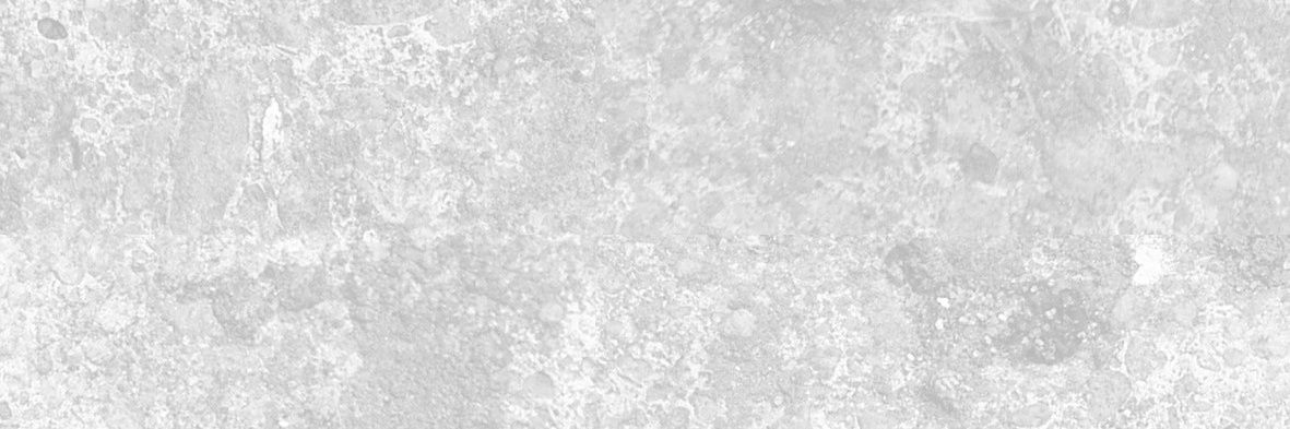 海釣釣不到沙丁魚 banner