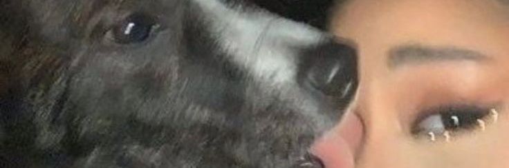 nic. 💋 banner
