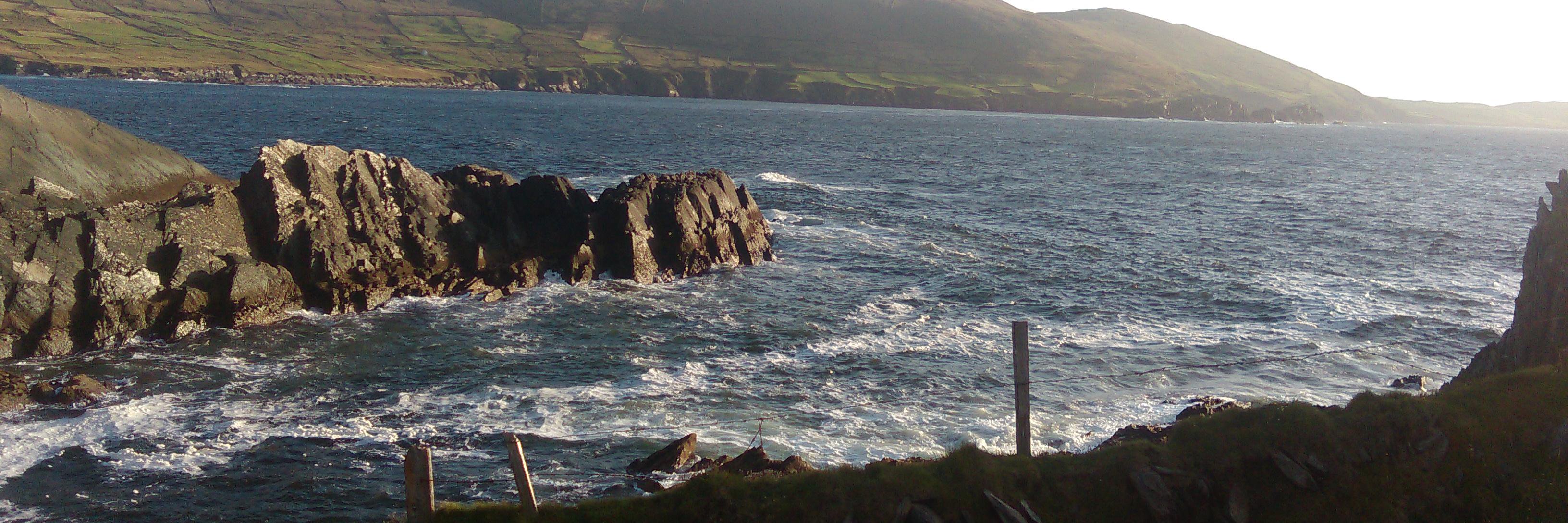 Ellen O Sullivan banner