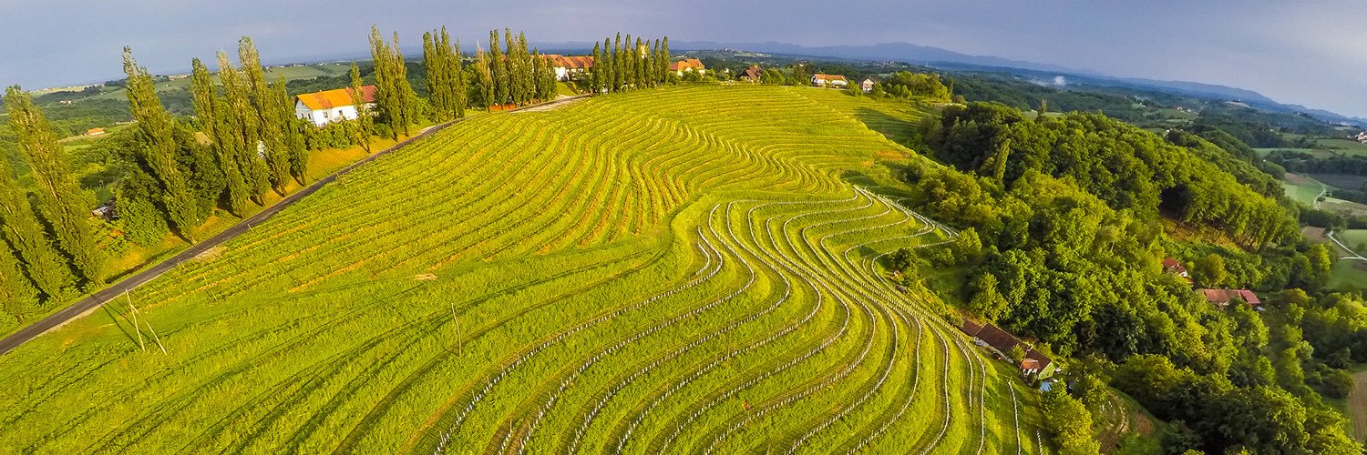 Daniel Ercsey banner