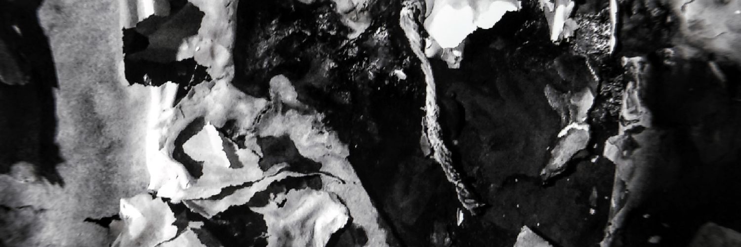 BordonMakarena's profile banner image