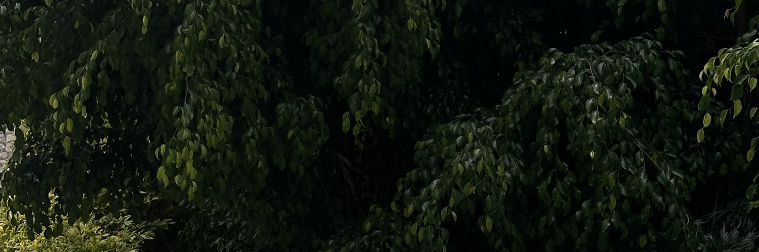 🧚‍♀️ banner