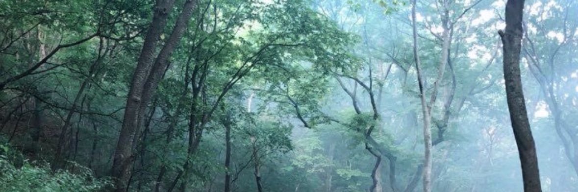 len⟡ banner