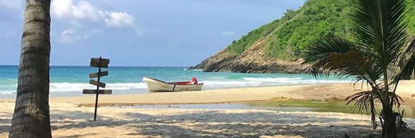 susymotilon's profile banner image