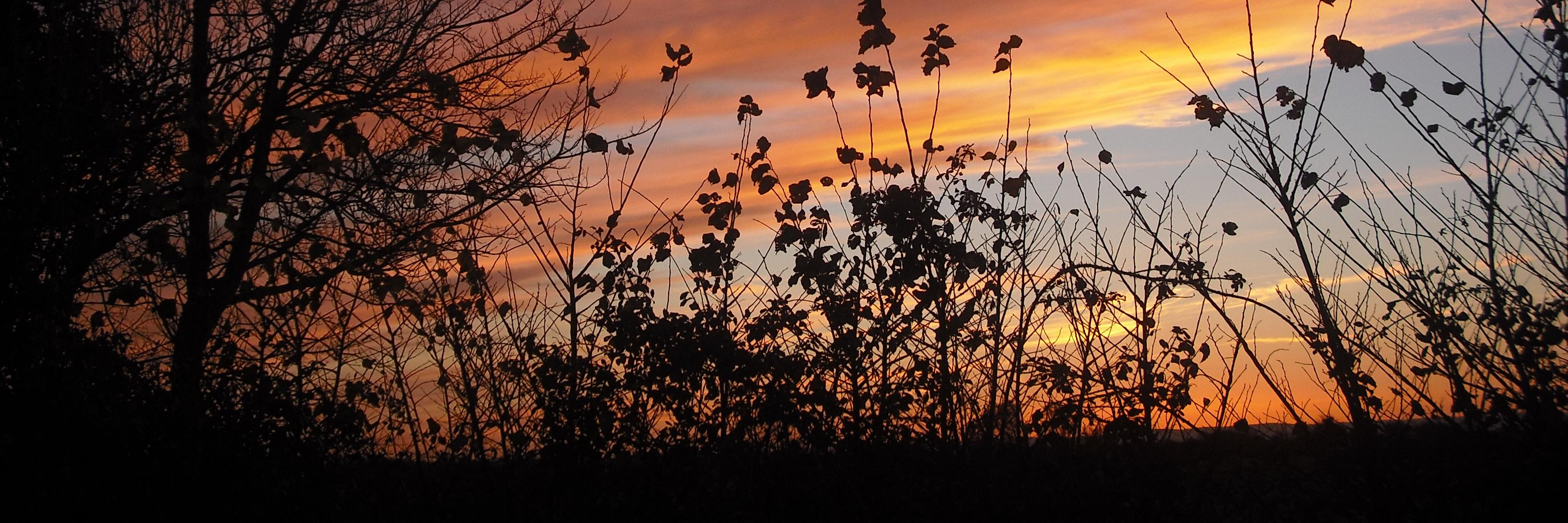 Allerton Villages banner