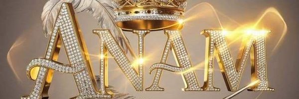 AnamAli28371842 Profile Banner