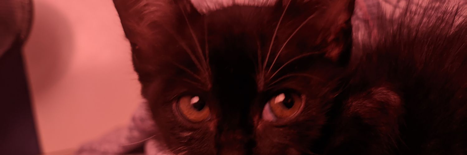 mariboscov's profile banner image