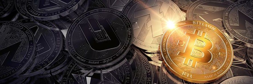 Crypto Lemur banner