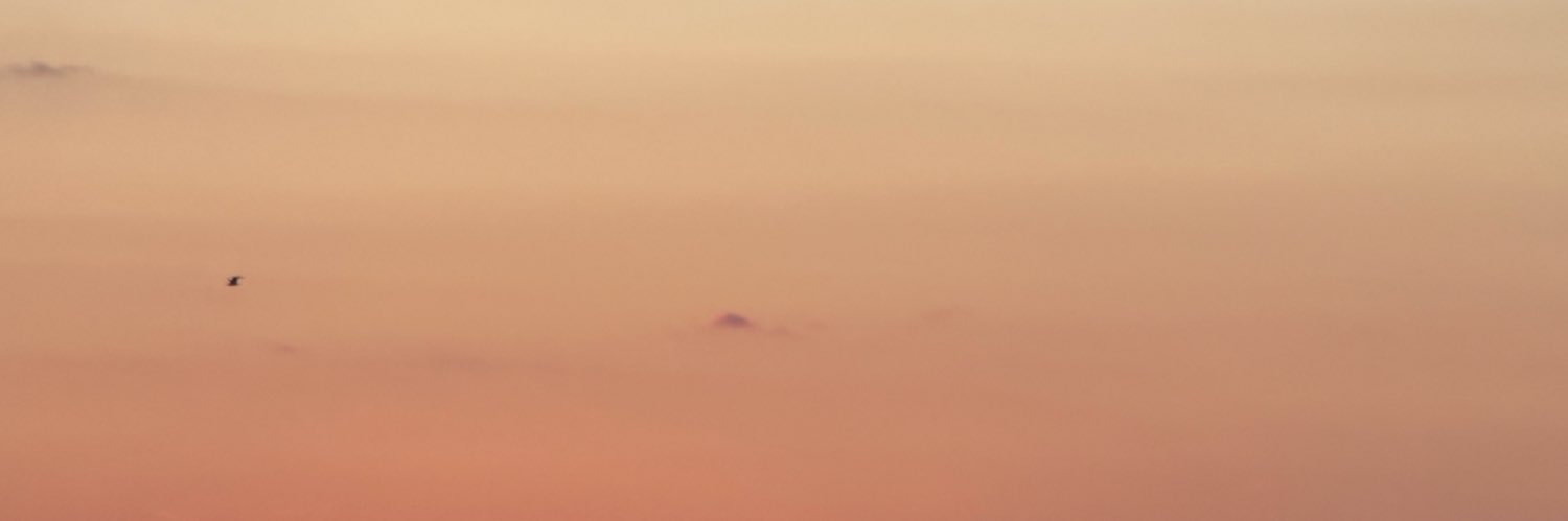roby_testa's profile banner image