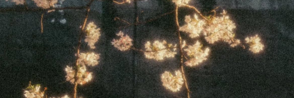 btates_724's profile banner image