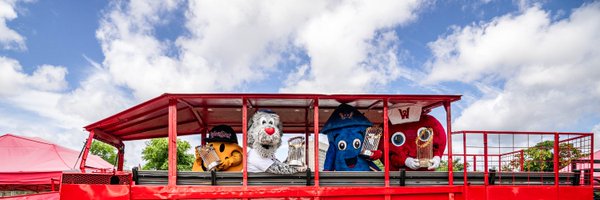 woosoxmascots Profile Banner