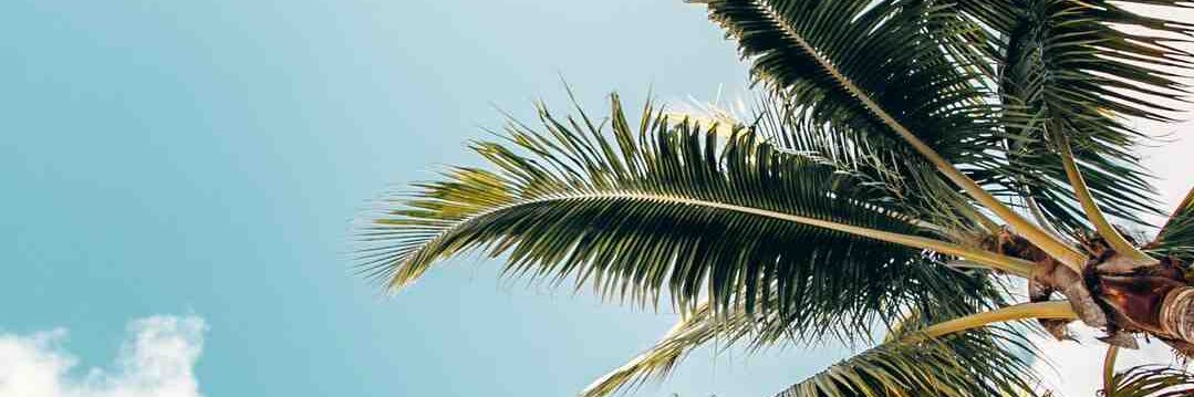 CamilleVrt's profile banner image