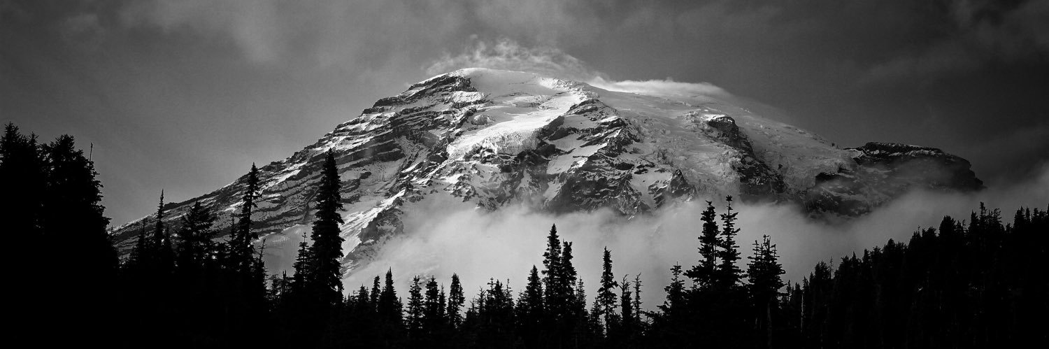 𝐒𝐨𝐟𝐢𝐚 (𝐩𝐚𝐫𝐨𝐝𝐲) banner