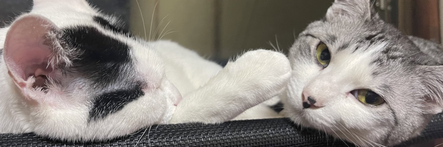 しそじ　おみそしば banner