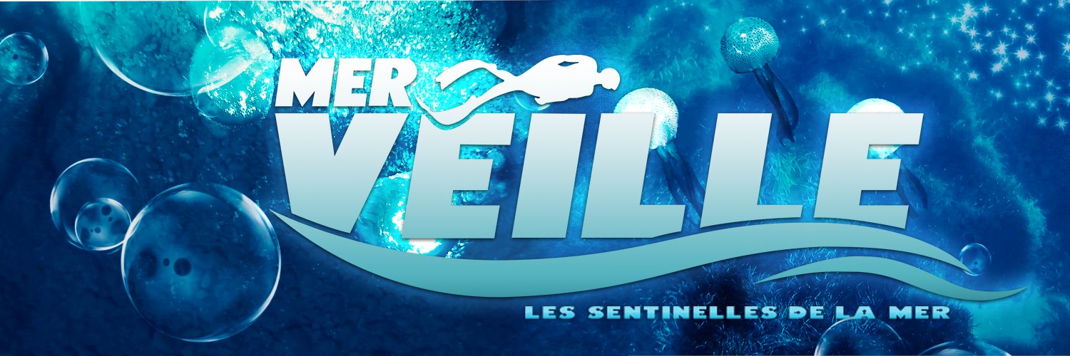 MerVeilleAsso's profile banner image