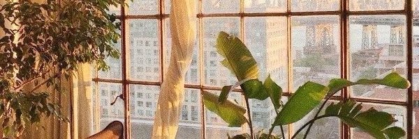 asstrofal Profile Banner