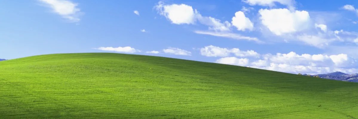 L banner