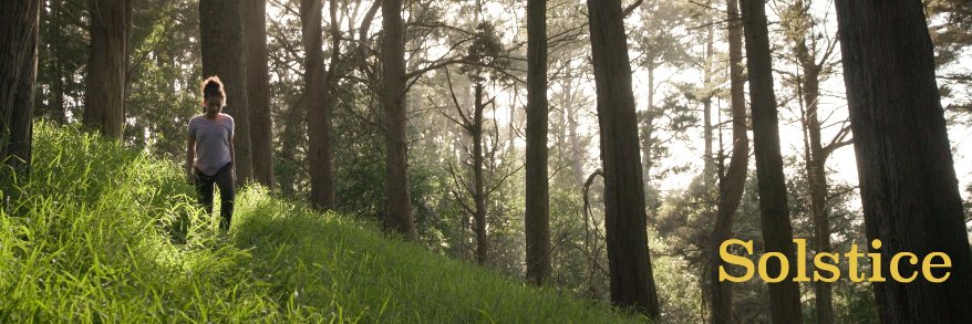 MynahFilms's profile banner image