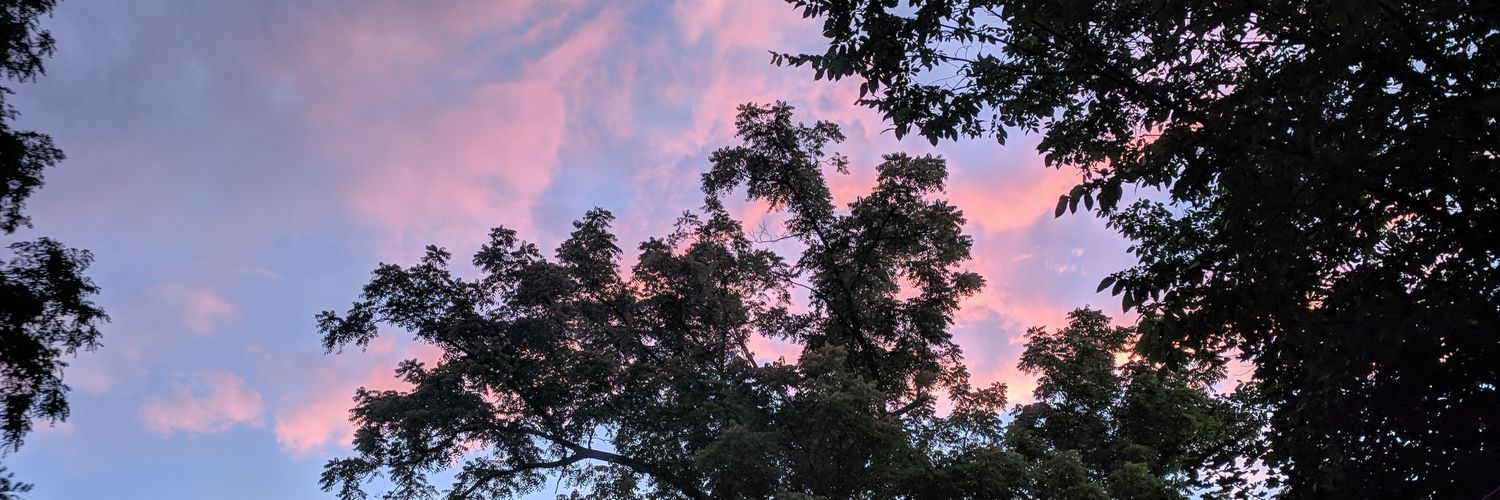 jelaniembree's profile banner image