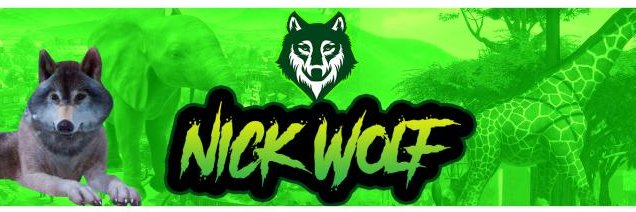 mrNicholasWolf's profile banner image